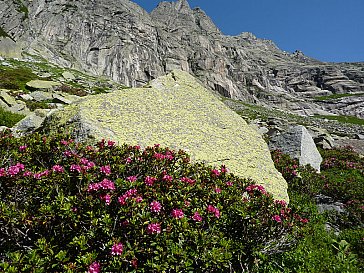 Ferienhaus in Lungern - Grimsel