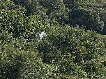 Ferienhaus in Aljezur - Umgebung der Casinha