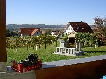 Ferienhaus in Hohenbrugg an der Raab - Blick von der Terrasse nach SW auf Grillstation