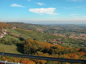 Ferienhaus in Hohenbrugg an der Raab - Herbstliche Landschaft vom Weinweg der Sinne