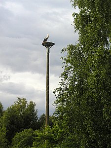 Ferienhaus in Kummer - Storchennest