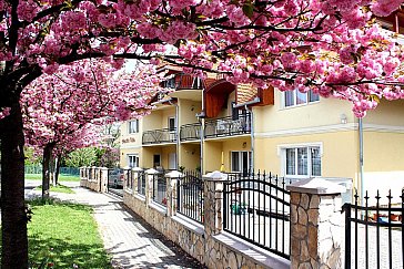 Ferienwohnung in Hévíz - Appartements Anett´s Villa