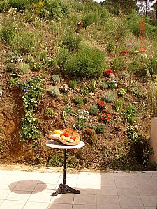 Ferienwohnung in Cogolin - Ostterrasse