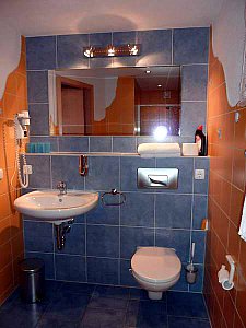 Ferienwohnung in Klingenthal-Aschberg - Dusche/WC