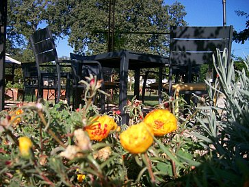 Ferienwohnung in Tuoro sul Trasimeno - Sitzgelegenheiten in der Gartenanlage