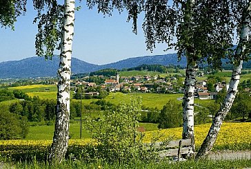 Ferienwohnung in Drachselsried - Bild3