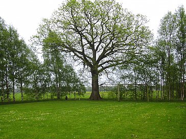 Ferienhaus in Bockhorn - Umgebung