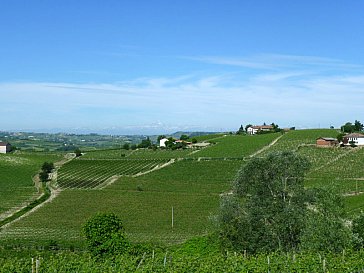 Ferienwohnung in Nizza Monferrato - Aussicht Casa Irene