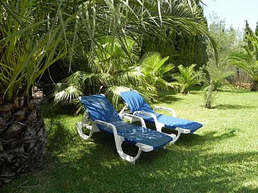 Ferienhaus in Conil de la Frontera - Subtropischer Garten