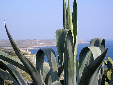 Ferienhaus in Castro - Bild9