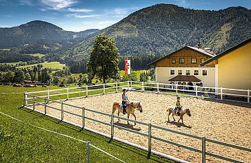 Ferienwohnung in Faistenau - Reiten & Pferdeschlittenfahrten