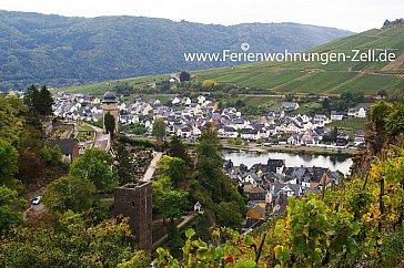 Ferienwohnung in Zell Mosel - Zell Mosel