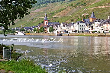 Ferienwohnung in Zell Mosel - Zell Mosel