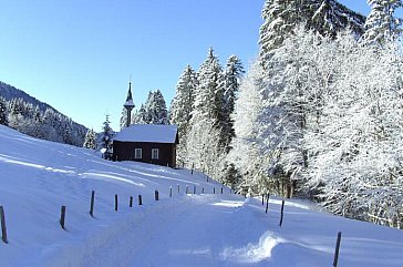 Ferienwohnung in Hittisau - Umgebung