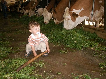 Ferienwohnung in Seeham - Vom frischen Gras gibt es gute Biomilch