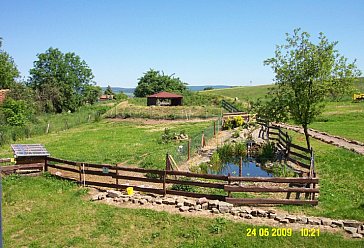 Ferienwohnung in Kelbra-Sittendorf - Nachmittags im Garten spielen oder sonnen