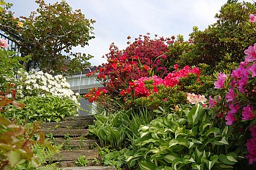 Ferienhaus in Porto Valtravaglia - Blumengarten