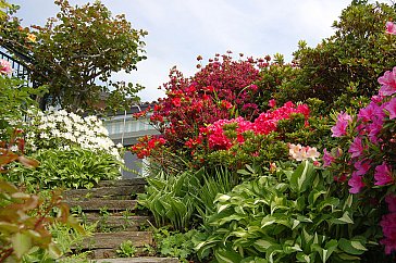 Ferienhaus in Porto Valtravaglia - Blumengarten