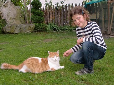 Ferienwohnung in Natz-Schabs - Unser Kater "Minko"