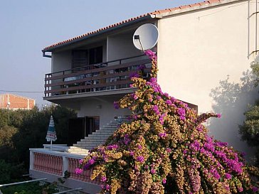 Ferienwohnung in Zadar-Kozino - Villa Ibis in Zadar-Kozino