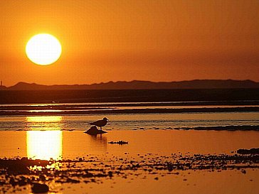 Ferienwohnung in Borgsum - Sonnenuntergang bei Ebbe im Watt