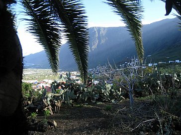 Ferienhaus in Frontera - Im Garten