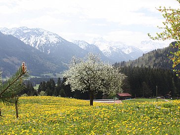 Ferienwohnung in Fischen im Allgäu - Stets im Blick die allgäuer Berge