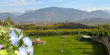 Ferienwohnung in Eppan - Unsere Umgebung - die Weinhügel des Überetsch
