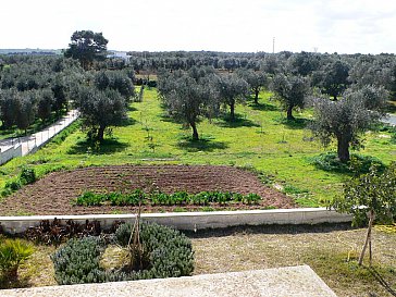 Ferienhaus in Otranto - Bild8