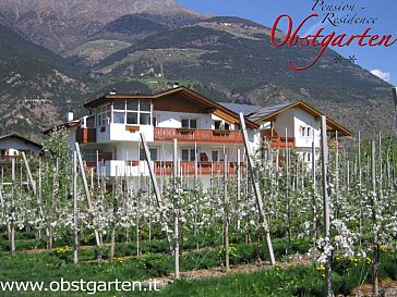 Ferienwohnung in Goldrain-Latsch - Der “Obstgarten” im Frühling