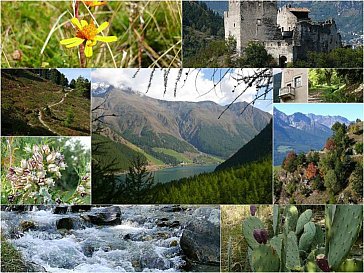 Ferienwohnung in Goldrain-Latsch - Wanderparadies des Nationalpark Stilfserjoch