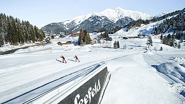 Ferienwohnung in Seefeld - Bild15