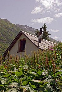 Ferienhaus in Hospental - Haus von unten