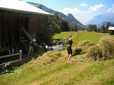 Ferienwohnung in Valzeina - Heuen auf dem Maiensäss