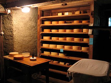 Ferienwohnung in Valzeina - Käsekeller