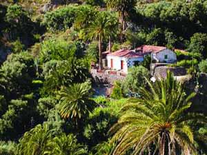 Ferienhaus in Santa Lucía de Tirajana - Bild5