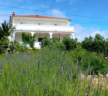 Ferienwohnung in Rab - Villa Lavanda in Rab