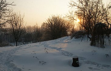 Ferienhaus in Witoslaw - Bild16