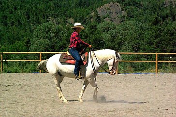 Ferienwohnung in La Motte du Caire - Westernreiten