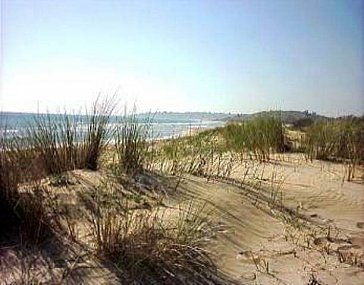 Ferienwohnung in Menfi - Dune