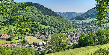 Ferienwohnung in Münstertal - Münstertal