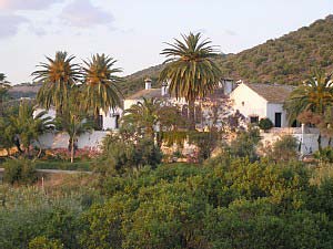 Ferienwohnung in Villamartín - Bild5