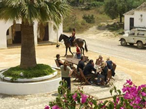 Ferienwohnung in Villamartín - Bild8