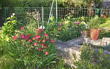 Ferienhaus in Uzès-Blauzac - Im Garten