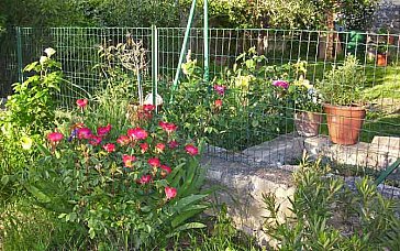 Ferienhaus in Uzès-Blauzac - Im Garten