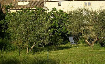 Ferienhaus in Uzès-Blauzac - Im Garten