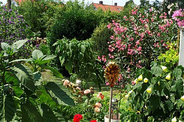 Ferienwohnung in Lindau - Gartenlandschaft