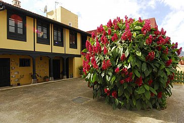 Ferienhaus in La Orotava - Bild4