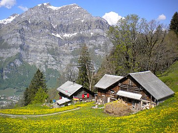 Ferienwohnung in Ennenda - Ennetbergli