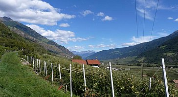 Ferienwohnung in Kastelbell-Tschars - Raslgut